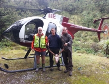 Deer Hunting Wairarapa