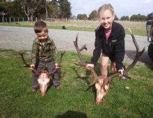 Deer Hunting Wairarapa