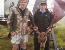 Deer Hunting Wairarapa