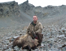 John Royle Chamois