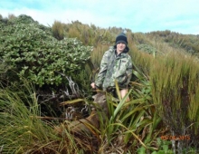 Deer Hunting Wairarapa