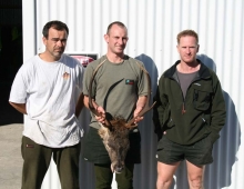 6 pointer
