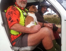 Canine Passenger