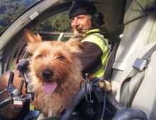 Canine Passenger