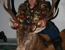 Jarod and Stag