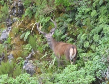 Tararuas 2009