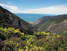 Wairarapa Coast