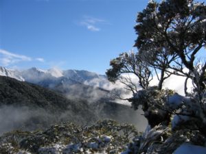 Snowy scene in the Tararuas